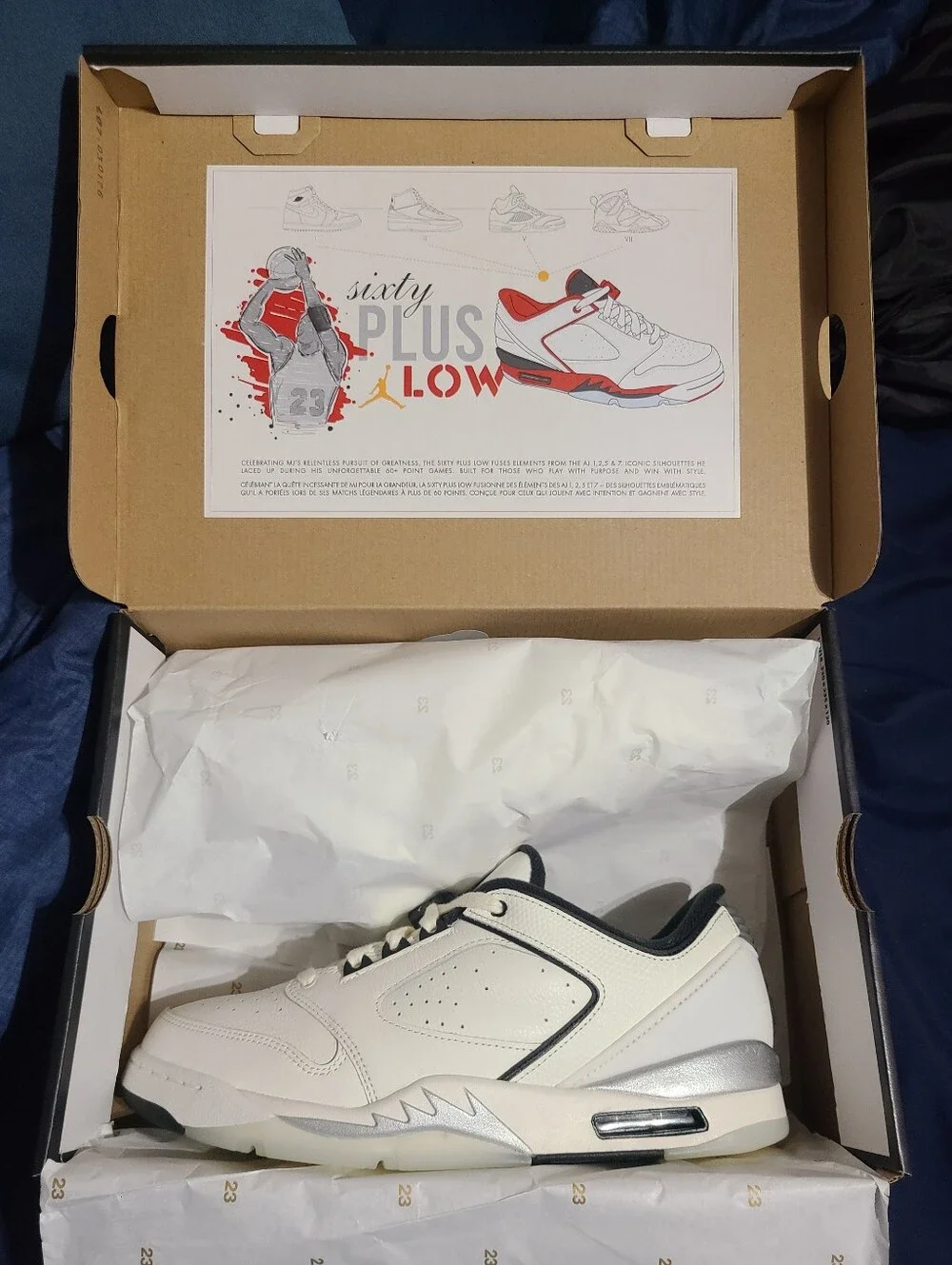 Jordan Sixty Plus Low 
